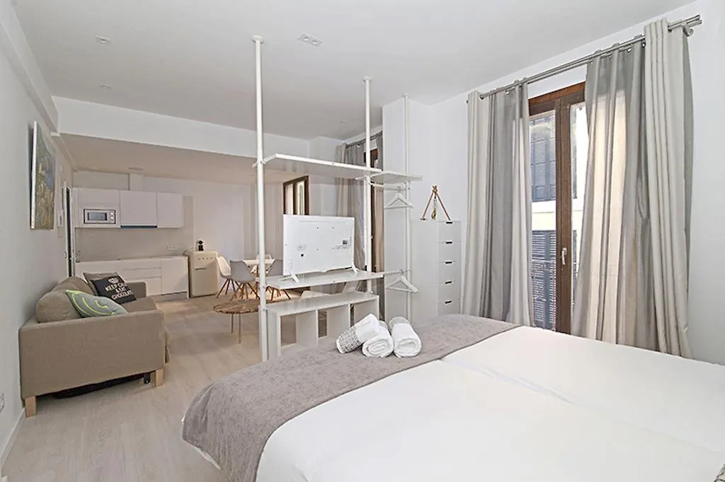 Can Blau Homes Turismo de Interior Palma de Mallorca 0*,  España